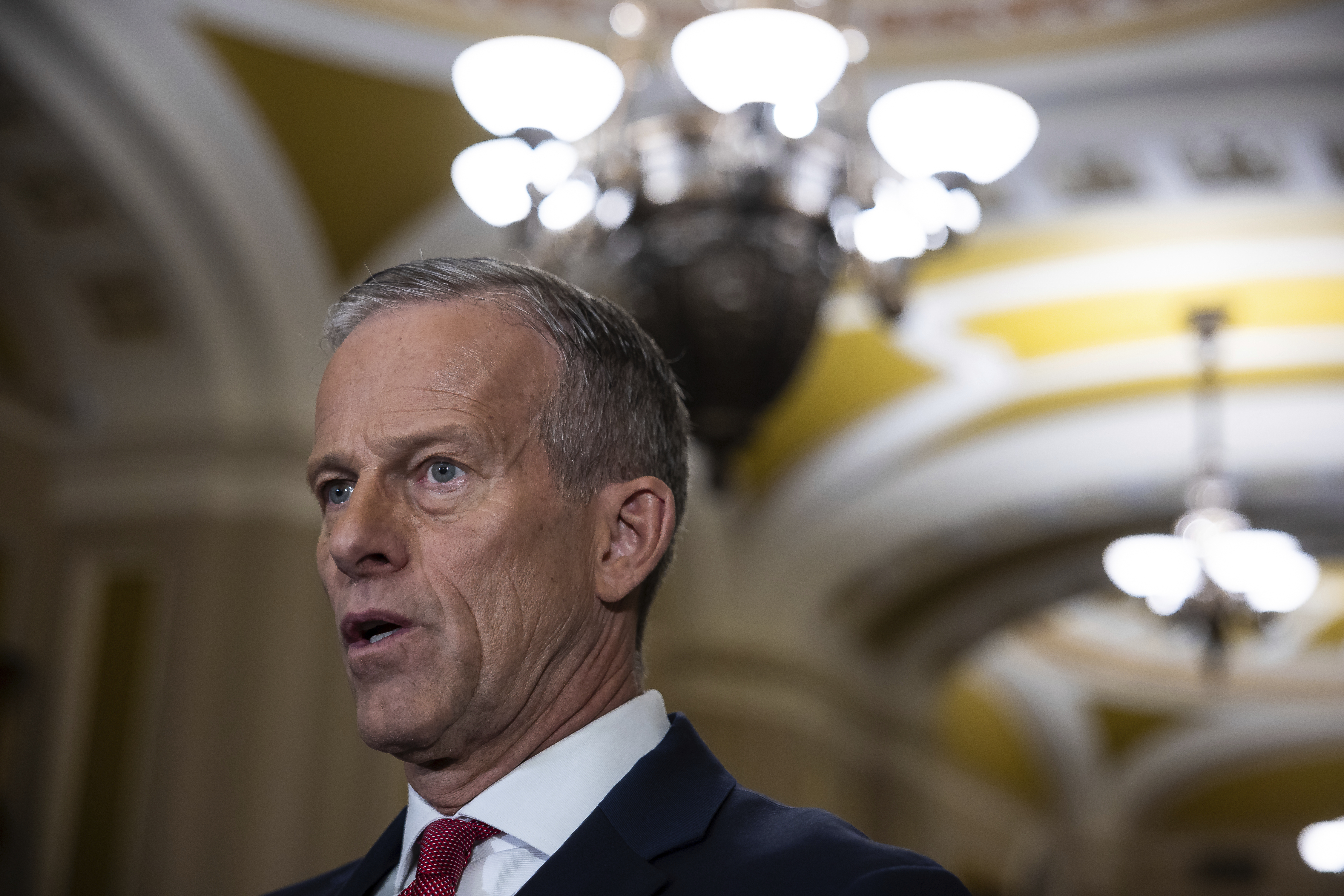 Senate Majority Leader John Thune (R-S.D.) is seen during a press conference at the U.S. Capitol, March 4, 2025.